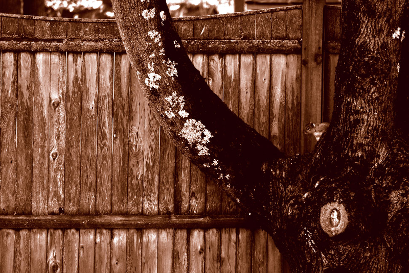 Illustration for article titled Shooting Challenge Gallery: Duotone III